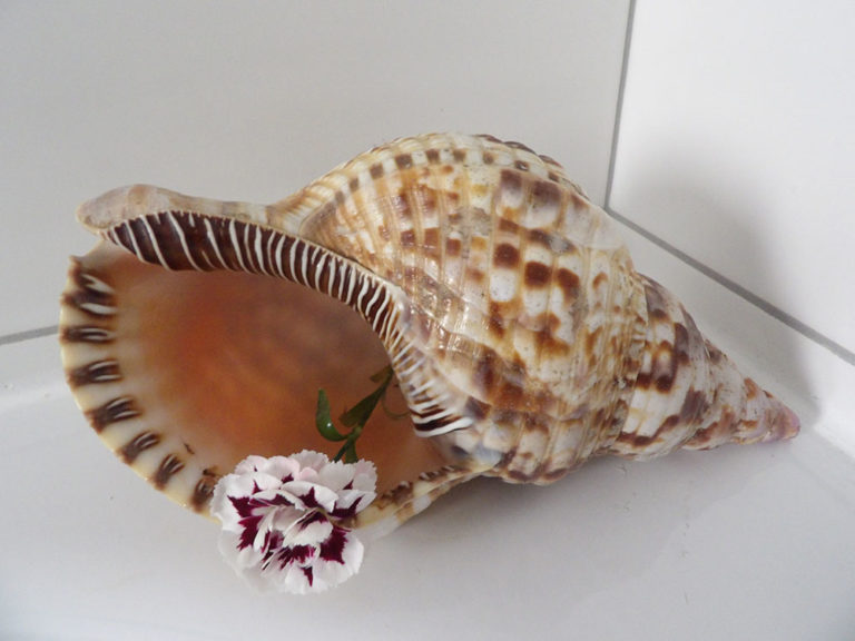 Gesundheitszentrum Bochum Langendreer